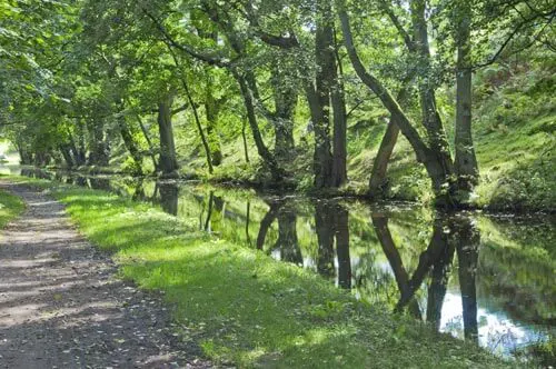 Mon and Brec Canal Scenery